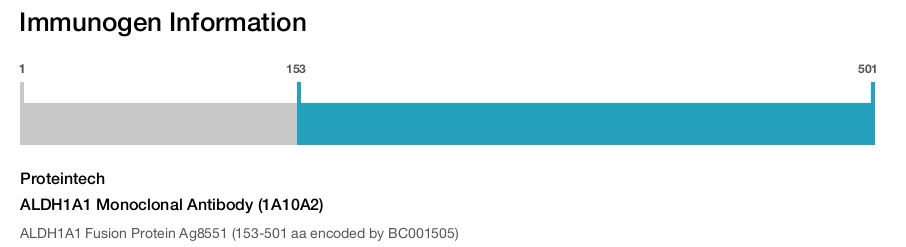 ALDH1A1 Monoclonal Antibody (1A10A2)
