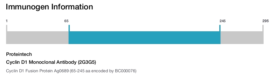 Cyclin D1 Monoclonal Antibody (2G3G5)