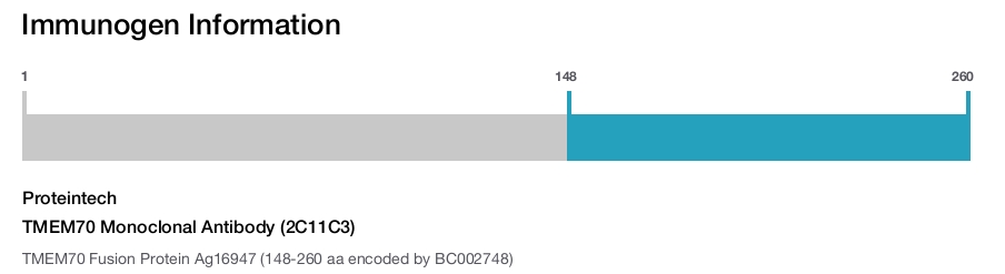 TMEM70 Monoclonal Antibody (2C11C3)