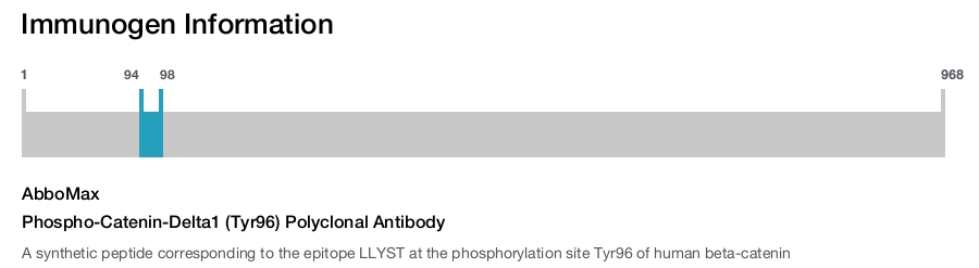 Phospho-Catenin-Delta1 (Tyr96) Polyclonal Antibody