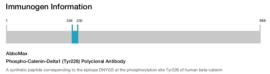 Phospho-Catenin-Delta1 (Tyr228) Polyclonal Antibody