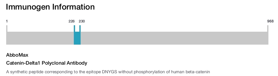 Catenin-Delta1 Polyclonal Antibody