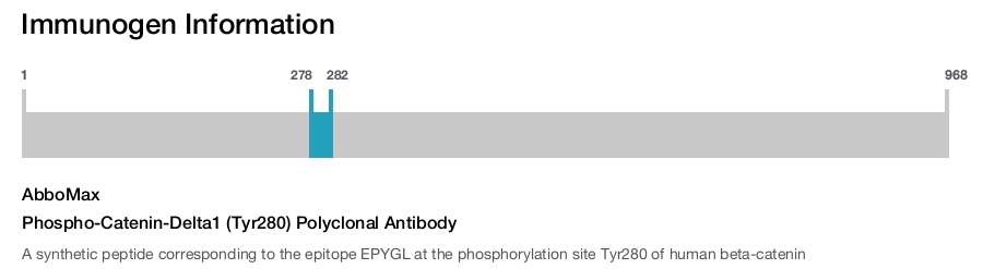 Phospho-Catenin-Delta1 (Tyr280) Polyclonal Antibody