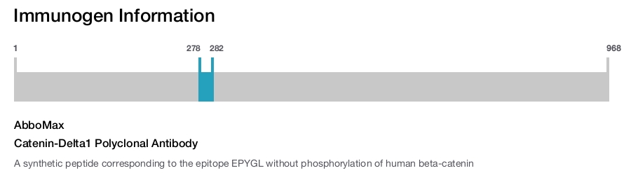 Catenin-Delta1 Polyclonal Antibody