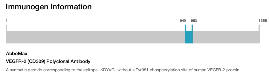 VEGFR-2 (CD309) Polyclonal Antibody