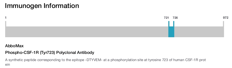 Phospho-CSF-1R (Tyr723) Polyclonal Antibody