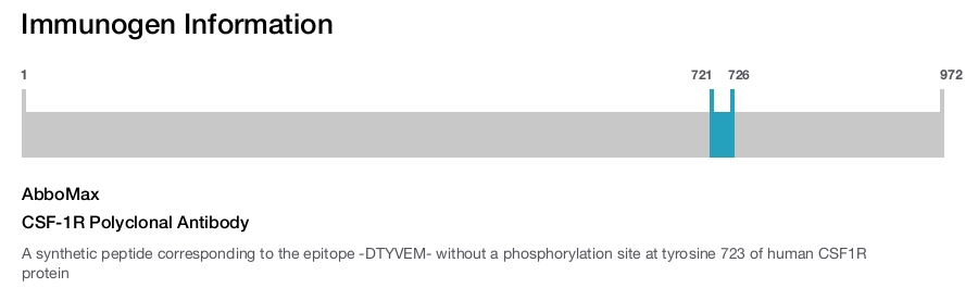 CSF-1R Polyclonal Antibody
