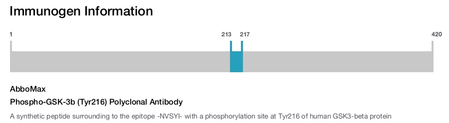 Phospho-GSK-3b (Tyr216) Polyclonal Antibody