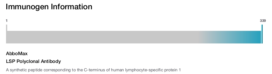LSP Polyclonal Antibody