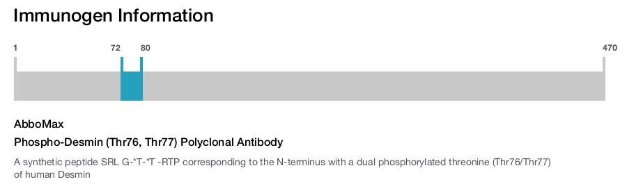 Phospho-Desmin (Thr76, Thr77) Polyclonal Antibody