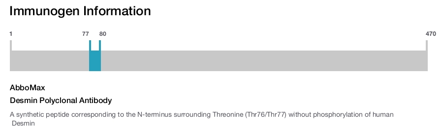 Desmin Polyclonal Antibody