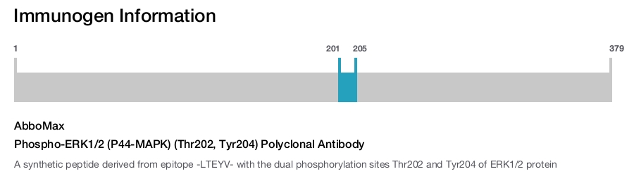 Phospho-ERK1/2 (P44-MAPK) (Thr202, Tyr204) Polyclonal Antibody