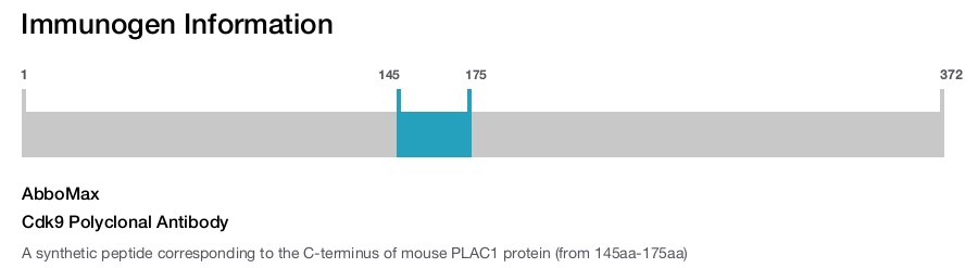 Cdk9 Polyclonal Antibody