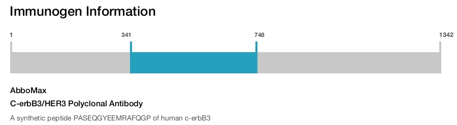 C-erbB3/HER3 Polyclonal Antibody