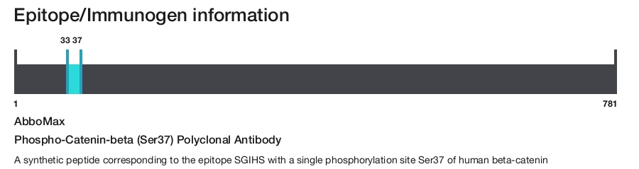 Phospho-Catenin-beta (Ser37) Polyclonal Antibody