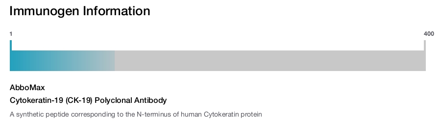 Cytokeratin-19 (CK-19) Polyclonal Antibody