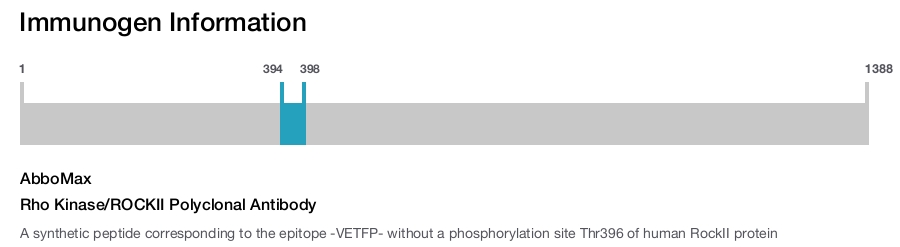 Rho Kinase/ROCKII Polyclonal Antibody