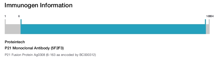 P21 Monoclonal Antibody (5F2F3)