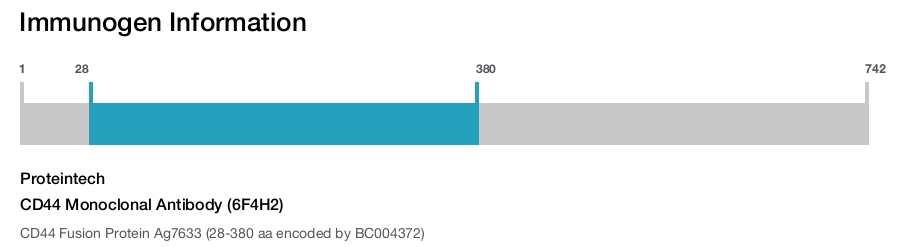 CD44 Monoclonal Antibody (6F4H2)