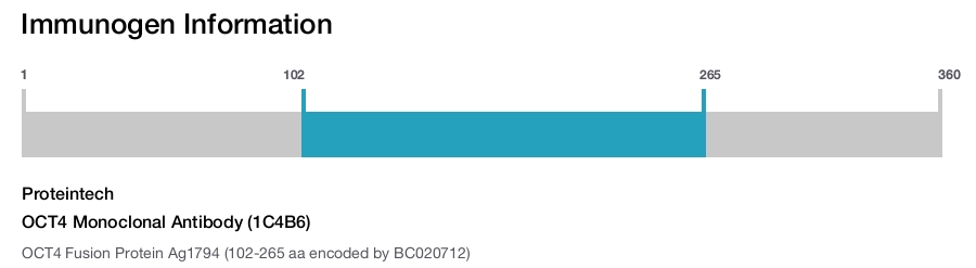OCT4 Monoclonal Antibody (1C4B6)