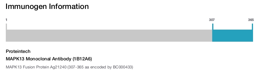 MAPK13 Monoclonal Antibody (1B12A6)