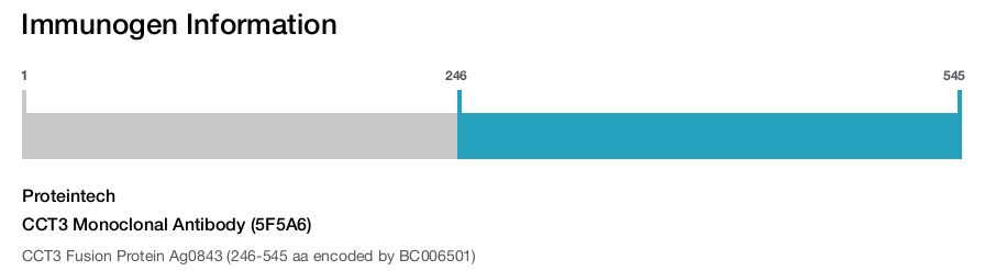 CCT3 Monoclonal Antibody (5F5A6)