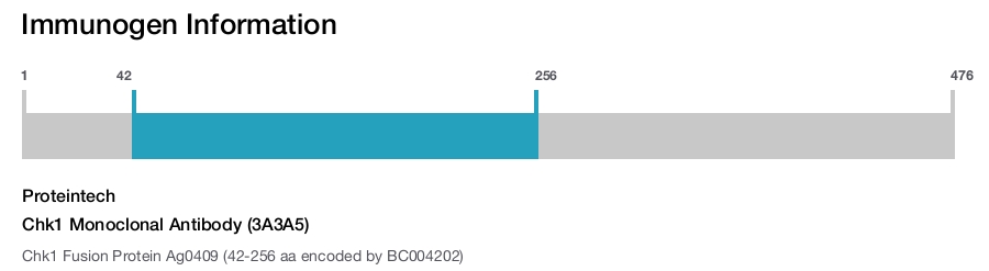 Chk1 Monoclonal Antibody (3A3A5)