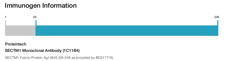 SECTM1 Monoclonal Antibody (1C11B4)