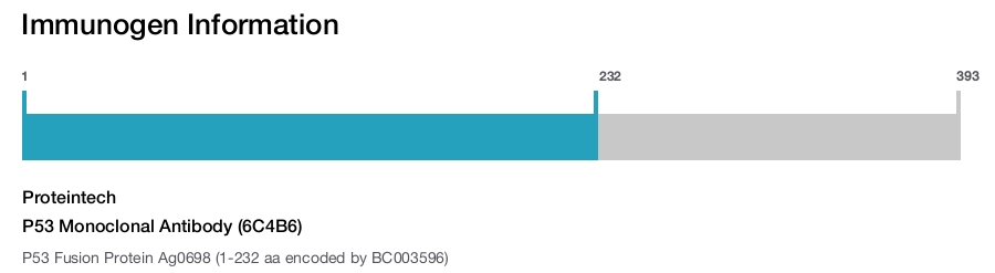 P53 Monoclonal Antibody (6C4B6)