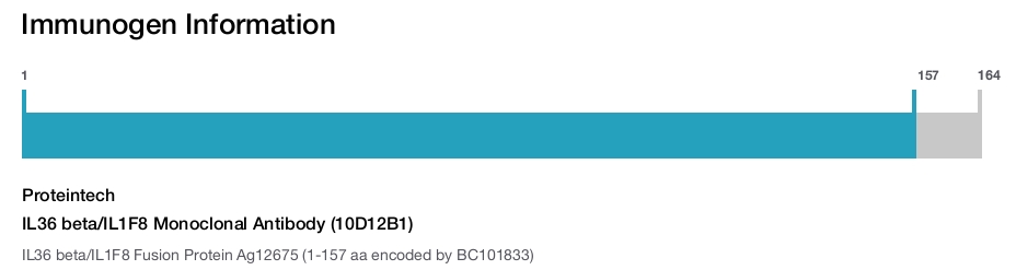 IL36 beta/IL1F8 Monoclonal Antibody (10D12B1)
