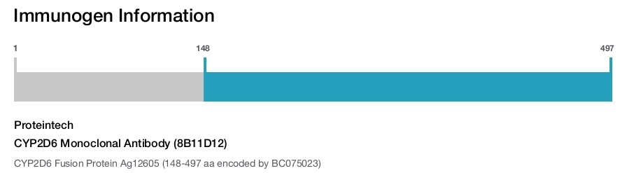 CYP2D6 Monoclonal Antibody (8B11D12)