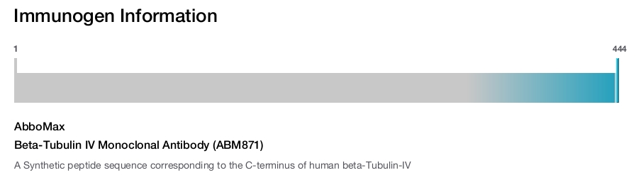 Beta-Tubulin IV Monoclonal Antibody (ABM871)