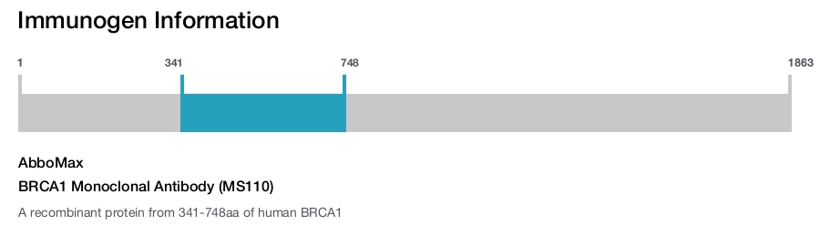 BRCA1 Monoclonal Antibody (MS110)