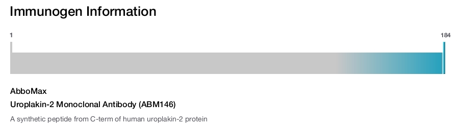 Uroplakin-2 Monoclonal Antibody (ABM146)