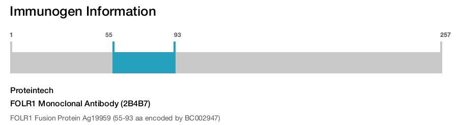FOLR1 Monoclonal Antibody (2B4B7)