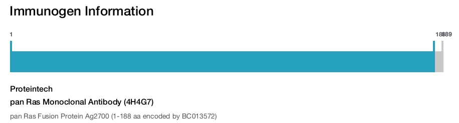 pan Ras Monoclonal Antibody (4H4G7)
