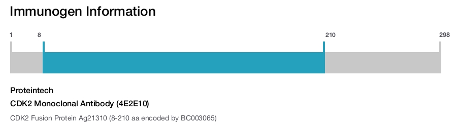 CDK2 Monoclonal Antibody (4E2E10)