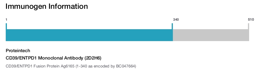 CD39/ENTPD1 Monoclonal Antibody (2D2H6)