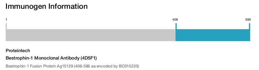 Bestrophin-1 Monoclonal Antibody (4D5F1)