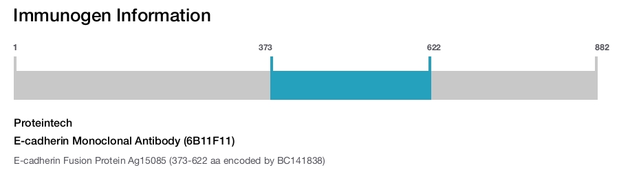 E-cadherin Monoclonal Antibody (6B11F11)