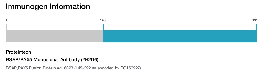 BSAP/PAX5 Monoclonal Antibody (2H2D6)