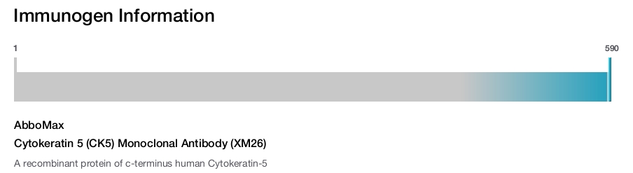 Cytokeratin 5 (CK5) Monoclonal Antibody (XM26)