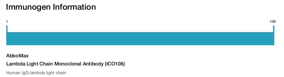 Lambda Light Chain Monoclonal Antibody (ICO106)