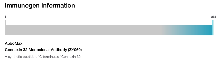 Connexin 32 Monoclonal Antibody (ZY060)