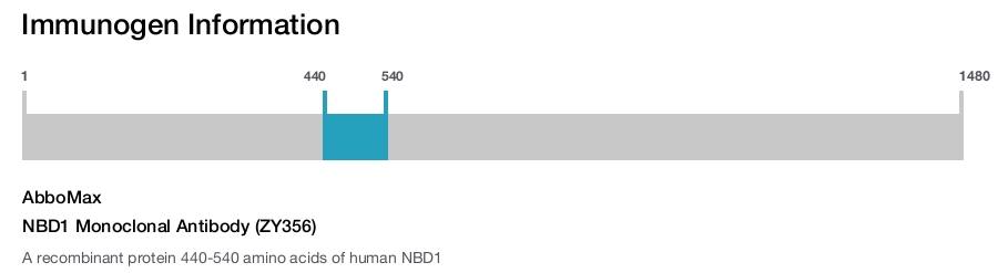 NBD1 Monoclonal Antibody (ZY356)