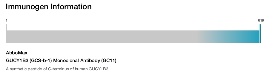 GUCY1B3 (GCS-b-1) Monoclonal Antibody (GC11)