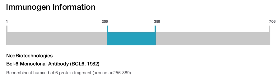 Bcl-6 Monoclonal Antibody (BCL6, 1982)