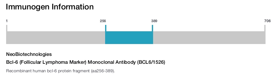 Bcl-6 (Follicular Lymphoma Marker) Monoclonal Antibody (BCL6/1526)