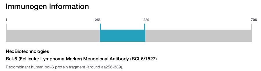 Bcl-6 (Follicular Lymphoma Marker) Monoclonal Antibody (BCL6/1527)