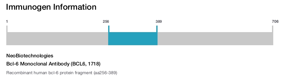 Bcl-6 Monoclonal Antibody (BCL6, 1718)